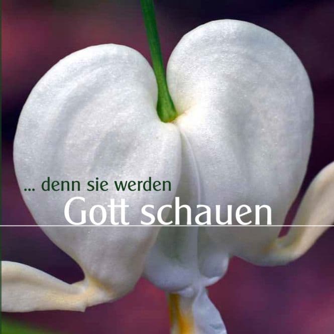 Cover: Denn sie werden Gott schauen