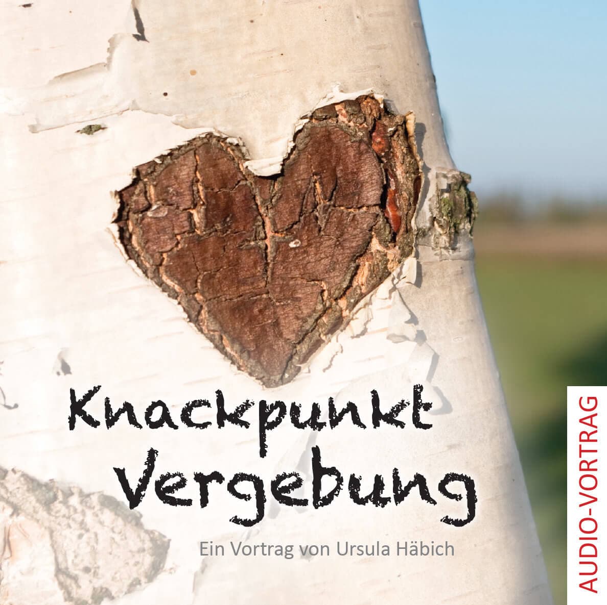 Cover: Knackpunkt Vergebung