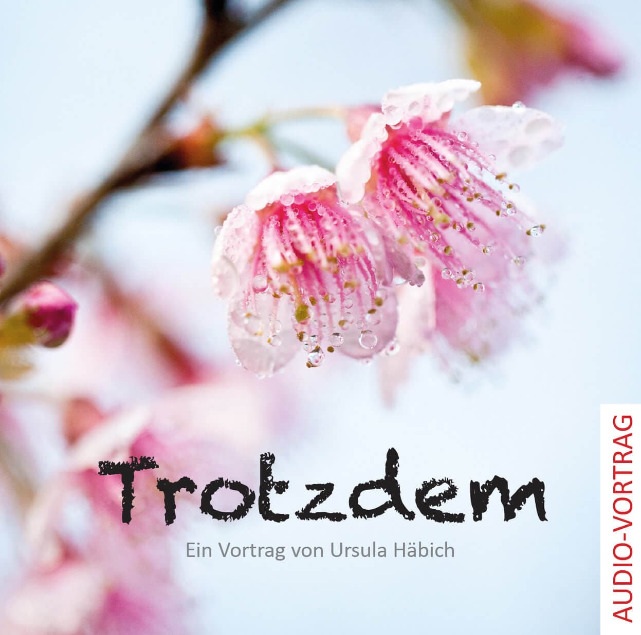 Cover: Trotzdem