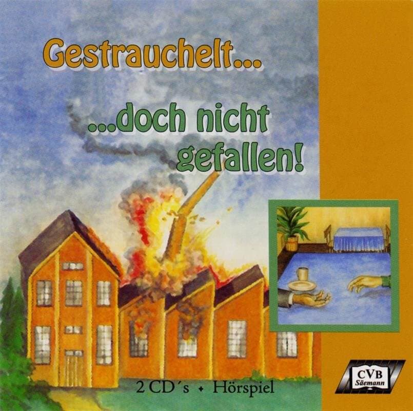 Cover: Gestrauchelt...doch nicht gefallen!