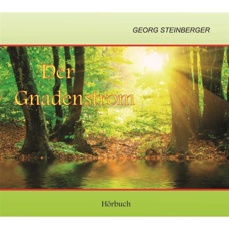 Cover: Der Gnadenstrom